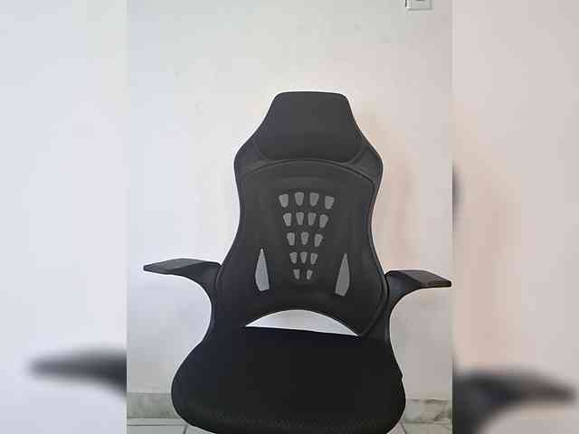 GlobeTrottieHottie1 webcam