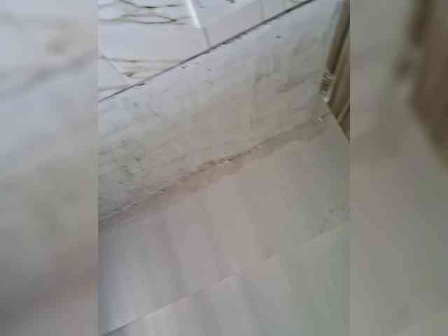 GlobeTrottieHottie1 webcam