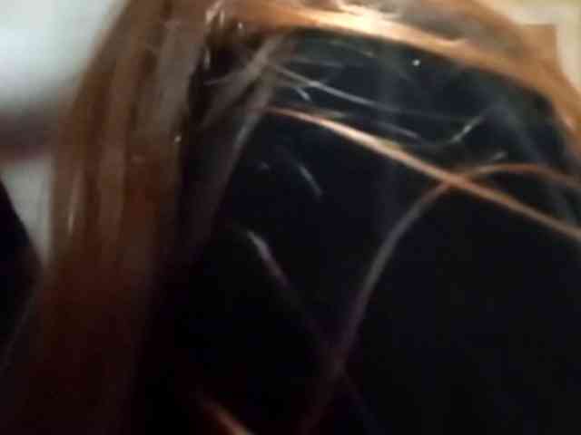 LatoshaBonkowski webcam