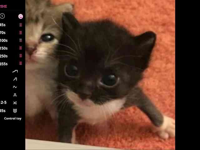 JohnaBechel webcam