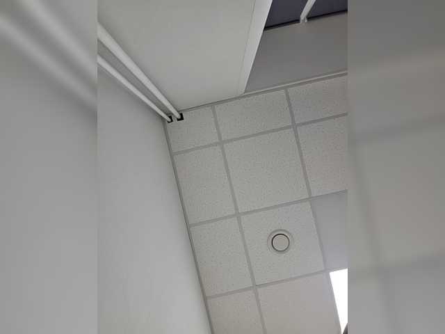 ButErfly6m from BongaCams is Freechat