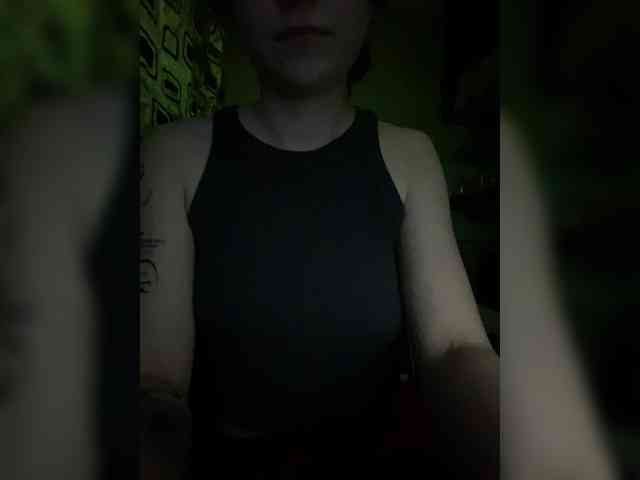 neoripliz webcam