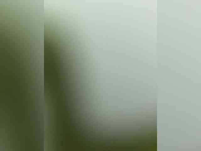 Kkeit webcam