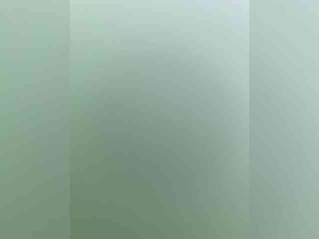 Kkeit webcam