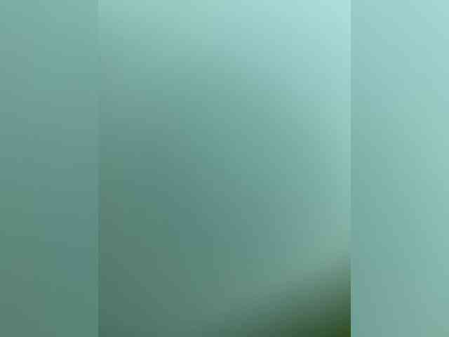 Kkeit webcam