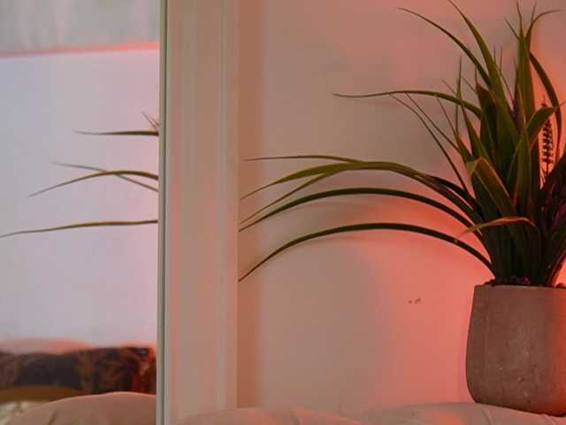 AileenKiss's BongaCams show and profile