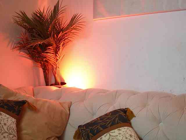 AileenKiss AileenKiss