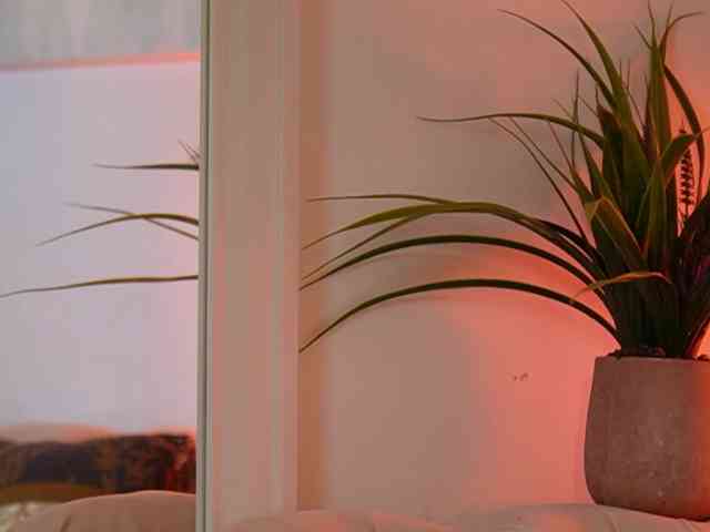 AileenKiss AileenKiss