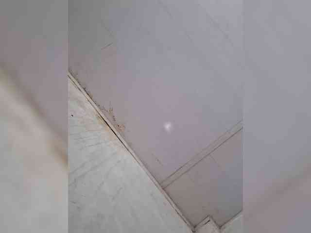 katyandxxx-1 webcam