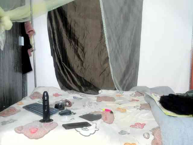 Foxy-Roxy webcam