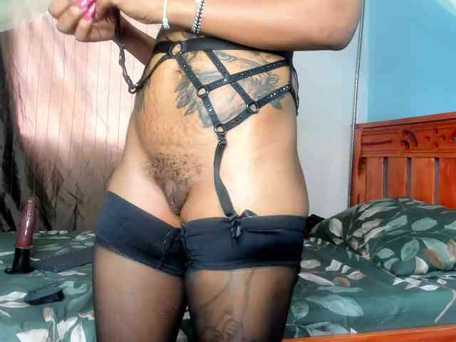 Foxy-Roxy webcam