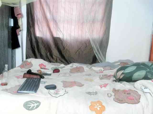 Foxy-Roxy webcam