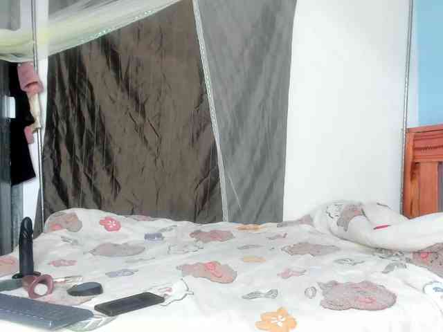 Foxy-Roxy webcam