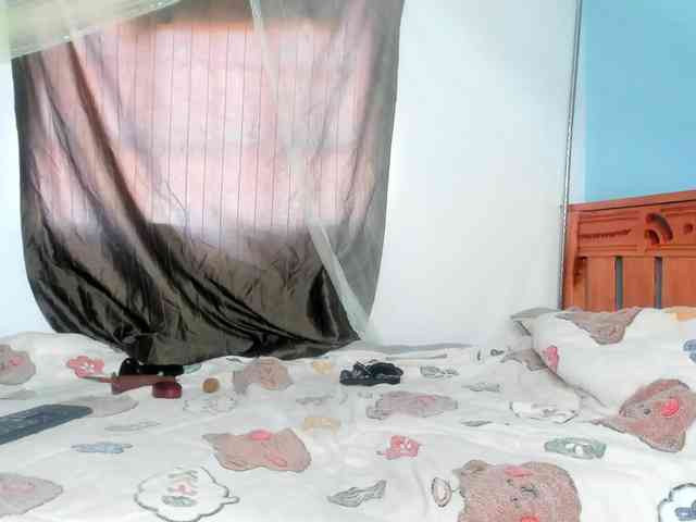 Foxy-Roxy webcam