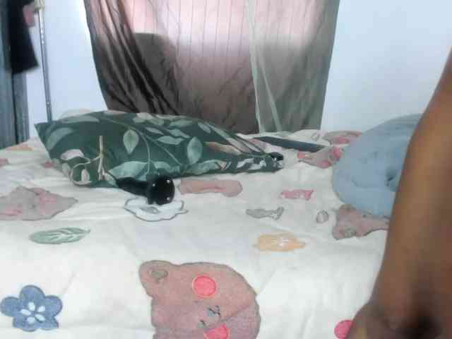 Foxy-Roxy webcam