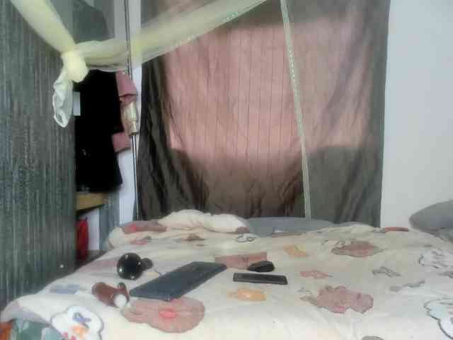 Foxy-Roxy webcam