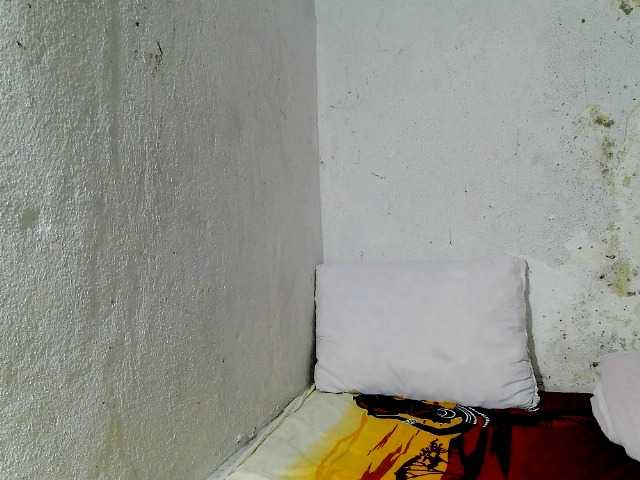 Preview of donnelaquin