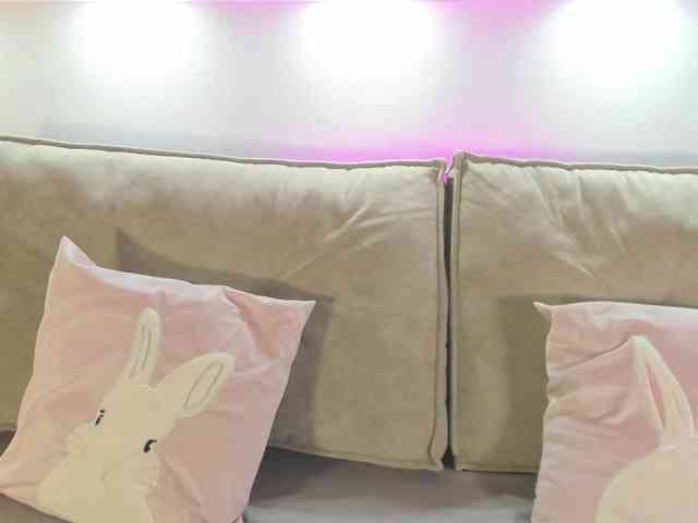 Krysa-dapp webcam