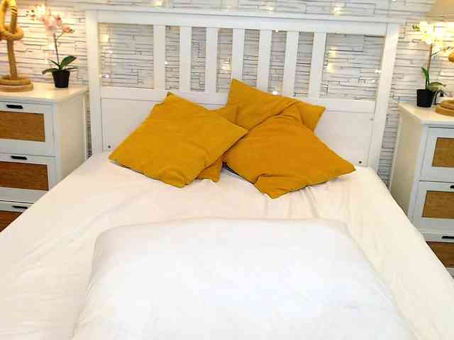 Soft-Lilly Soft-Lilly