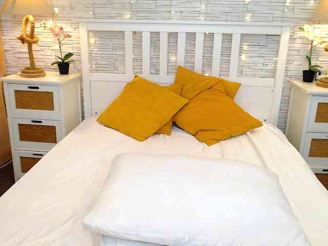 Soft-Lilly Soft-Lilly