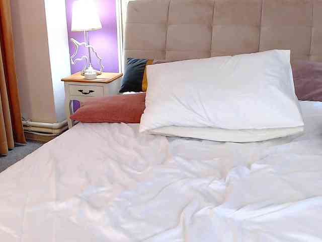 Soft-Lilly webcam