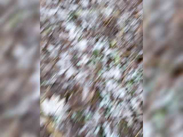 Thebestthrill Thebestthrill