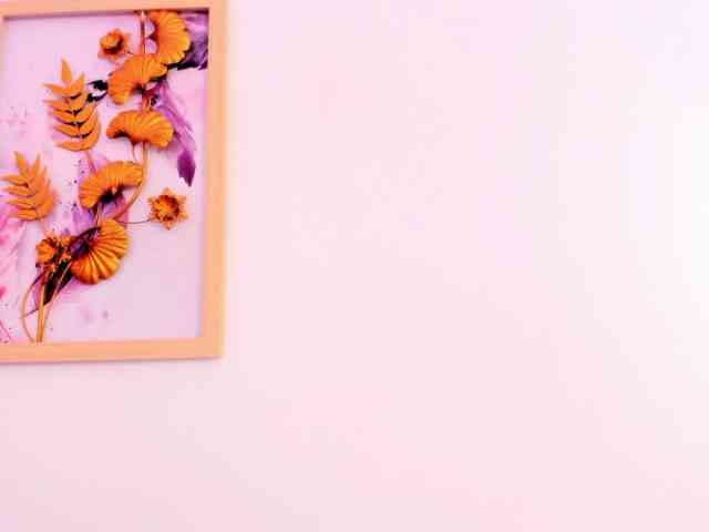 malakk webcam