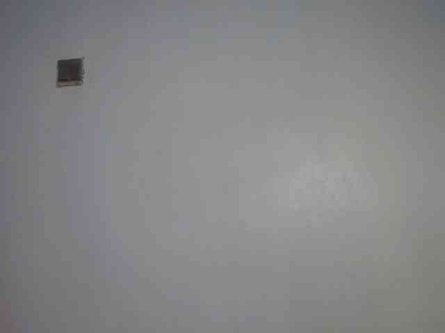 Mandymia webcam