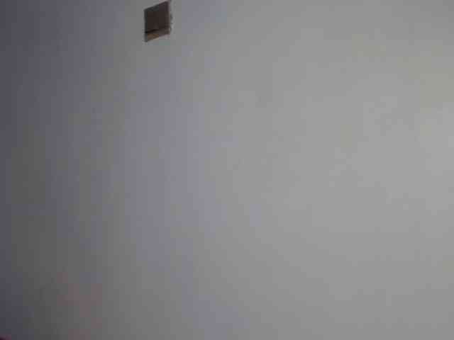 Mandymia webcam