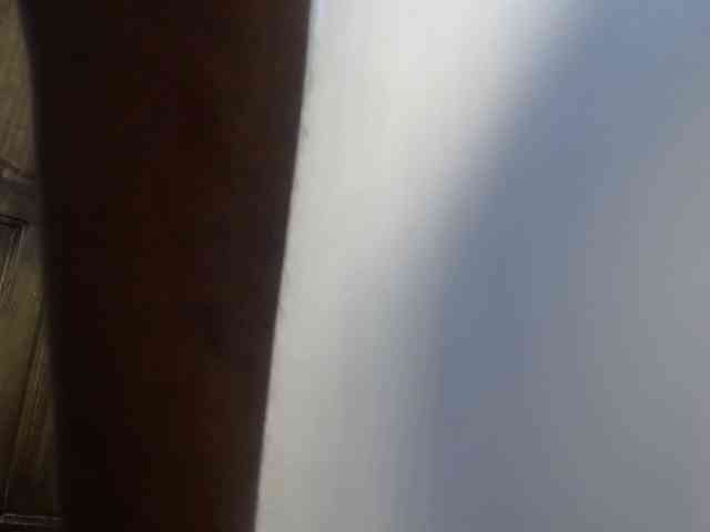 Mandymia webcam