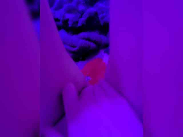 Lilikiss webcam