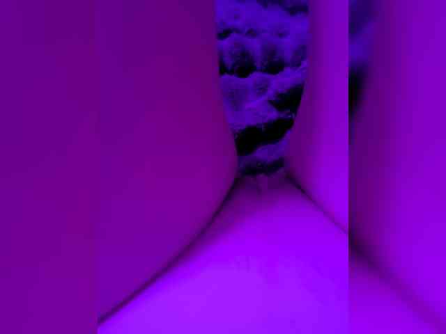 Lilikiss webcam
