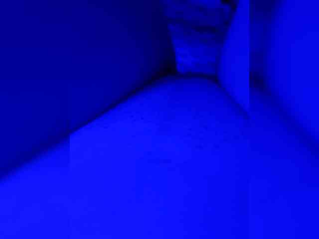 Lilikiss webcam