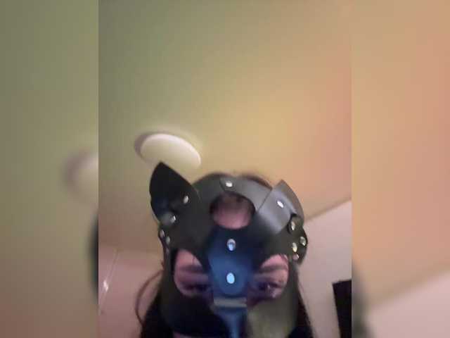 go to chat with paraprgasmov69