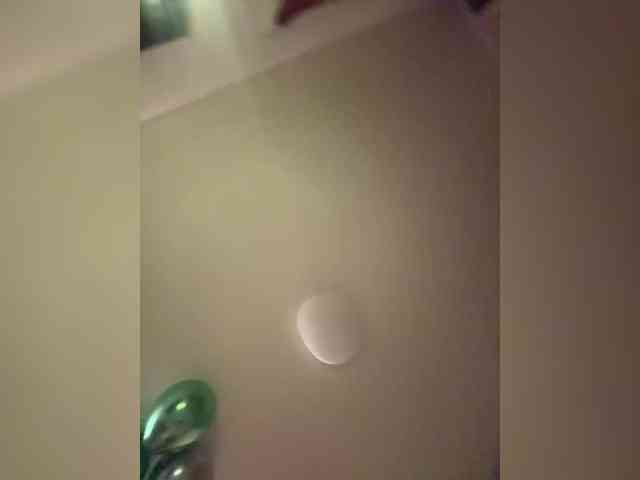 paraprgasmov69 paraprgasmov69