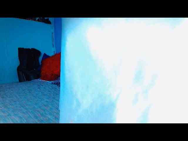 MilyGrey-08 webcam