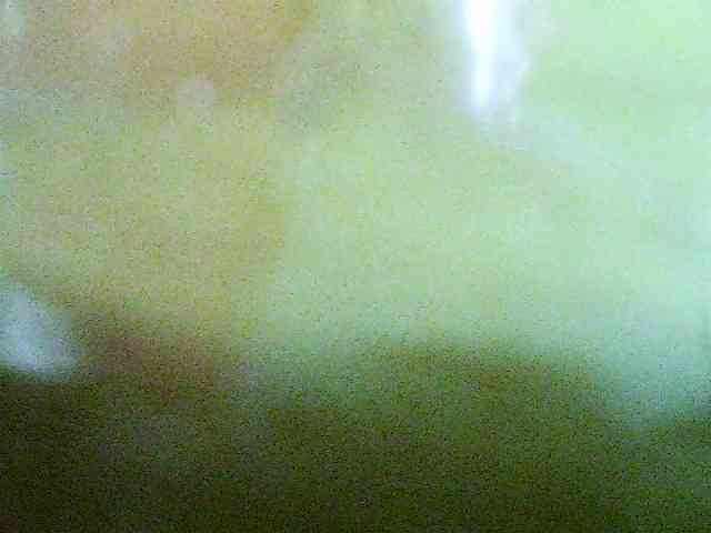 Merlis0x webcam