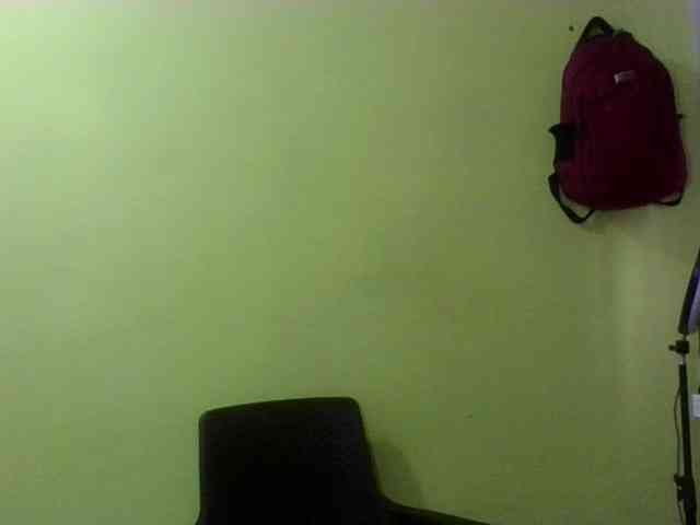 Merlis0x webcam