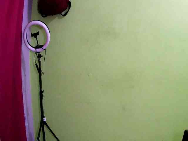Merlis0x webcam
