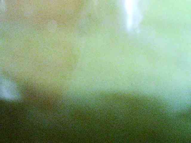 Merlis0x webcam