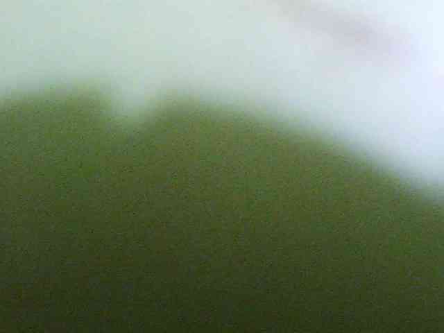 Merlis0x webcam