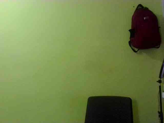 Merlis0x webcam