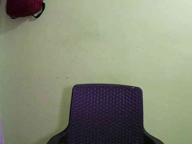 Merlis0x webcam