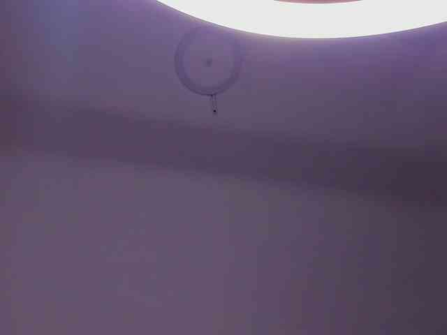 protheus333 protheus333