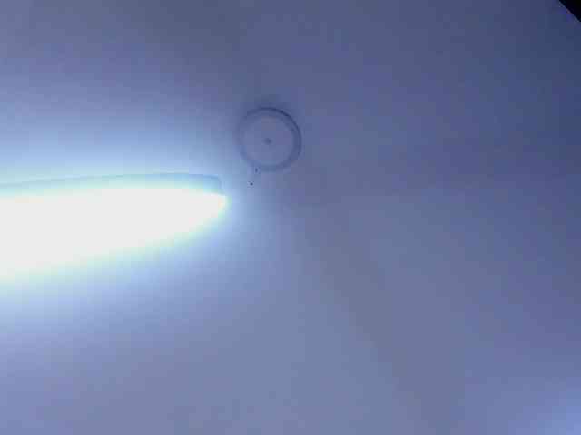 protheus333 protheus333