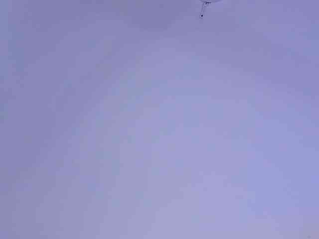 protheus333 protheus333