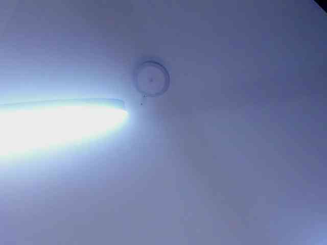 protheus333 protheus333