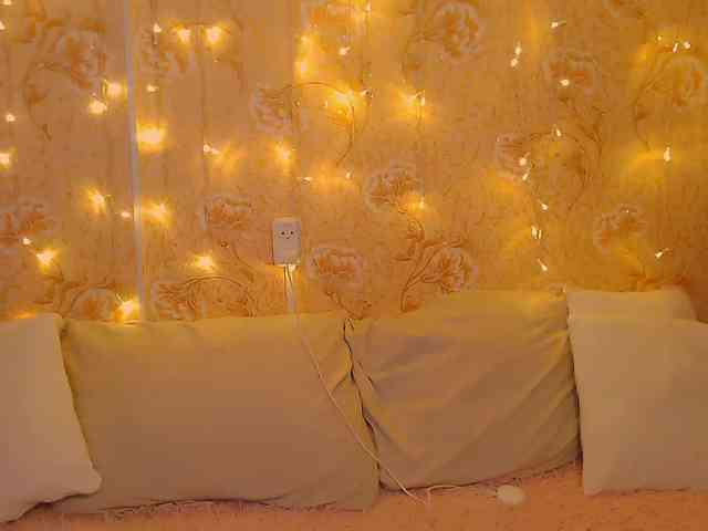 fluffy-kitty- webcam