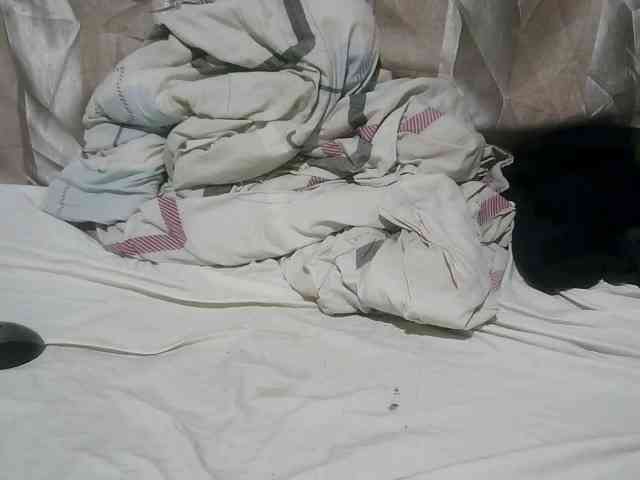 cute-mashall webcam