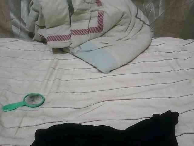 cute-mashall webcam